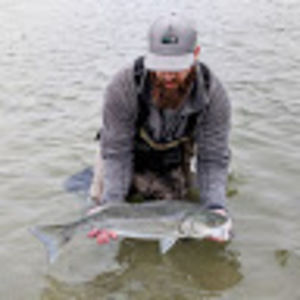 Meet your Posher, Peter